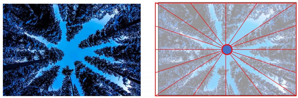 【初級】まずはたった3つ!!覚えるべきたった10個の超定番・基本構図②【テクニック 構図】