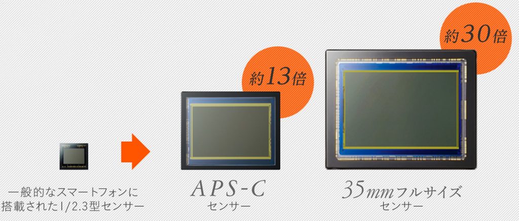 【レベル別】カメラ, 撮影ってどれくらいお金かかる⁉費用や相場を徹底解説【趣味/仕事】