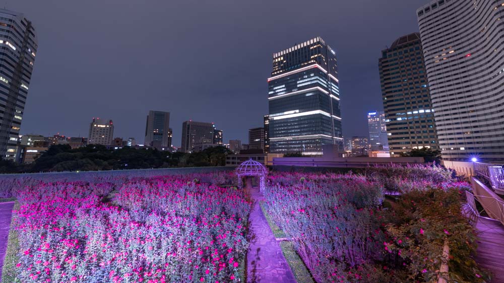 【Go To】東京GoTo解禁!!『ホテルニューオータニ』に泊まってみた【Red Rose Garden】