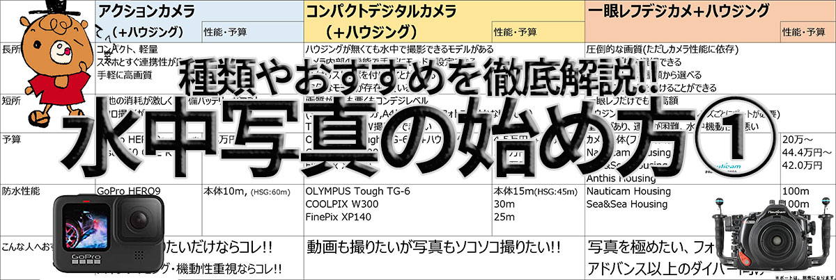 初級】水中写真の始め方を徹底解説!!種類やおすすめ機種を紹介①【2つのダイブの違い, GoPro】