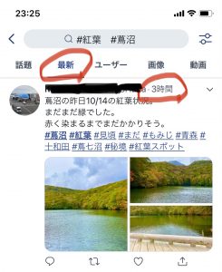 【国内旅行】絶対間違いない!!京都・紅葉おすすめ写真スポット ベスト5【Go To, 旅写真,まとめ】