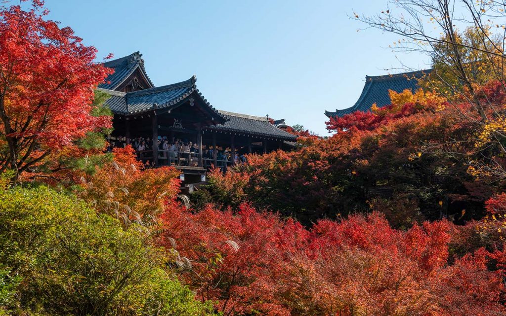 【国内旅行】絶対間違いない!!京都・紅葉おすすめ写真スポット ベスト5【Go To, 旅写真,まとめ】