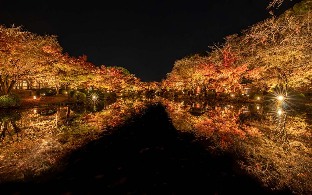 【国内旅行】絶対間違いない!!京都・紅葉おすすめ写真スポット ベスト5【Go To, 旅写真,まとめ】