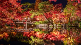 【国内旅行】絶対間違いない!!京都・紅葉おすすめ写真スポット ベスト5【Go To, 旅写真,まとめ】