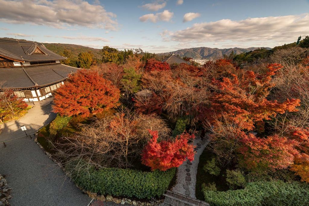 【国内旅行】絶対間違いない!!京都・紅葉おすすめ写真スポット ベスト5【Go To, 旅写真,まとめ】