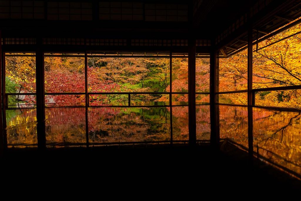 【国内旅行】絶対間違いない!!京都・紅葉おすすめ写真スポット ベスト5【Go To, 旅写真,まとめ】