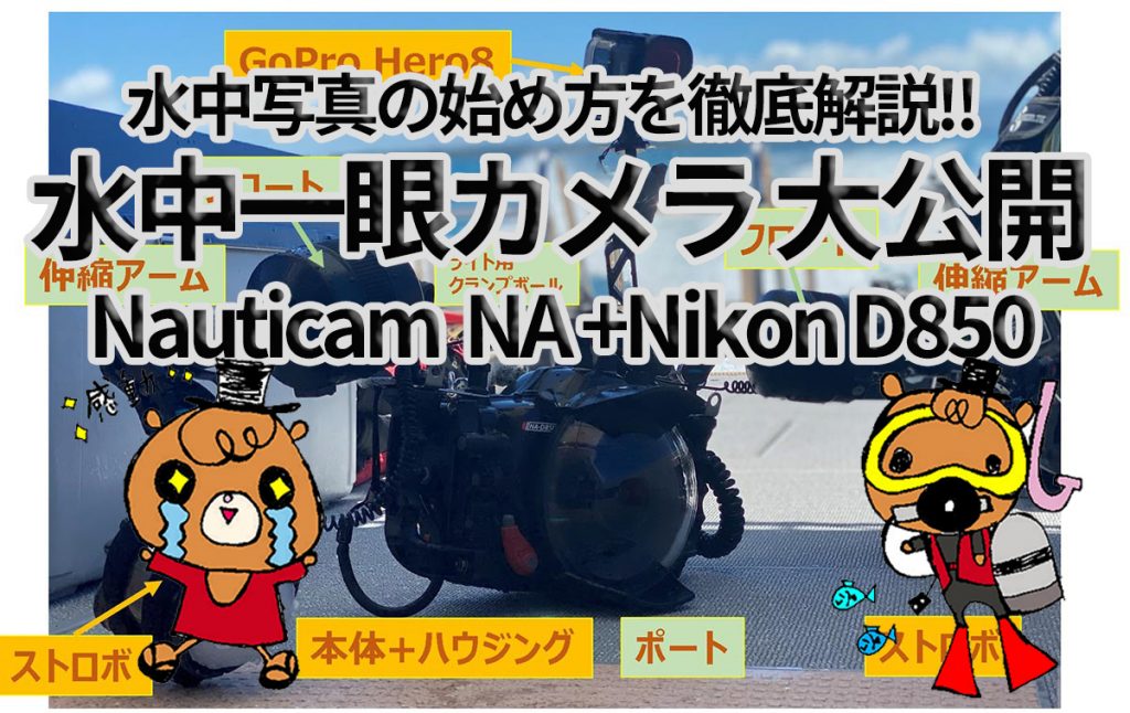 【上級】水中写真の始め方を徹底解説!! ③ 水中一眼カメラ 大公開【Nauticam, ハウジング】