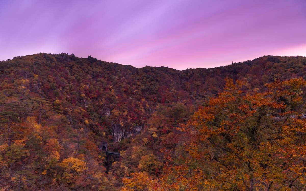 【国内旅行】宮城最強の紅葉・鳴子温泉郷(鳴子峡)に行ってみた【Go To, 旅写真】