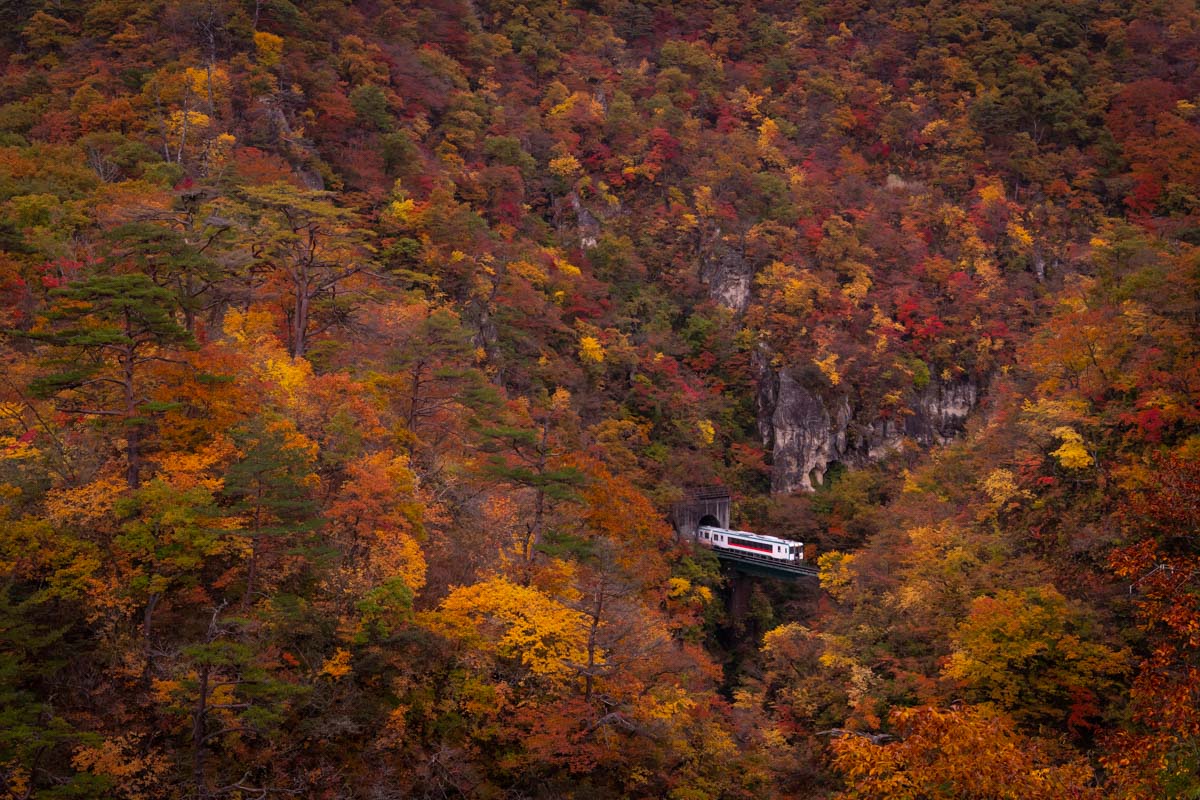 【国内旅行】宮城最強の紅葉・鳴子温泉郷(鳴子峡)に行ってみた【Go To, 旅写真】