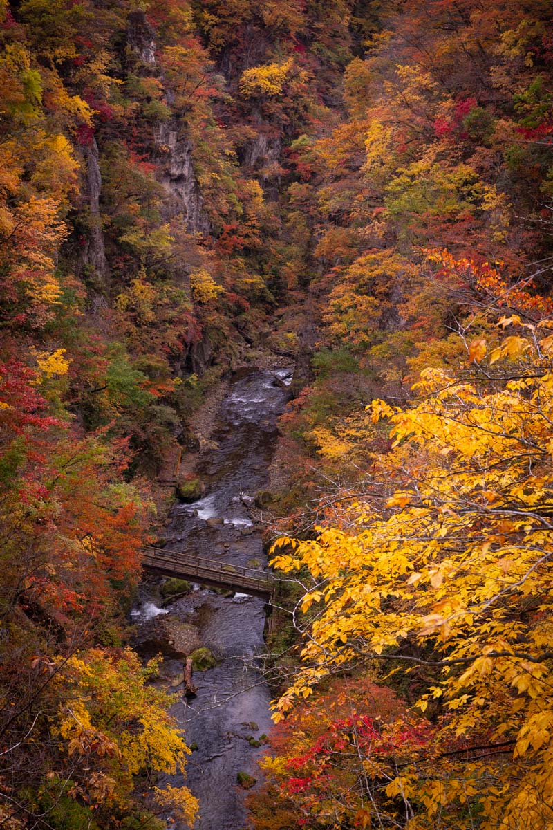 【国内旅行】宮城最強の紅葉・鳴子温泉郷(鳴子峡)に行ってみた【Go To, 旅写真】