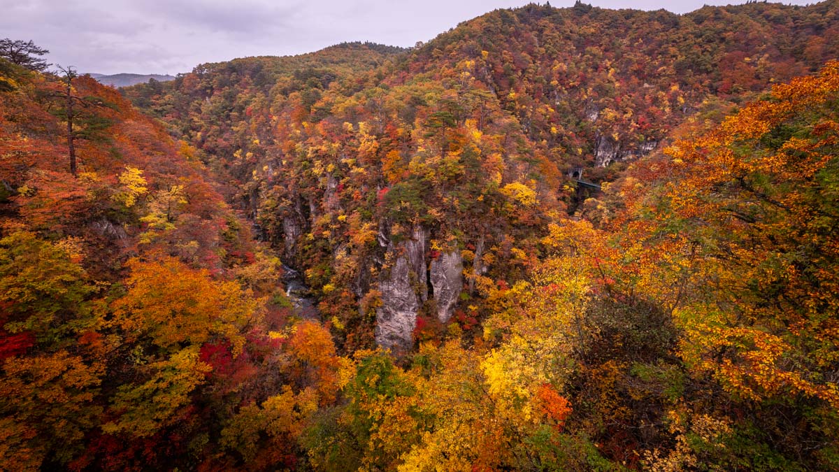 【国内旅行】宮城最強の紅葉・鳴子温泉郷(鳴子峡)に行ってみた【Go To, 旅写真】