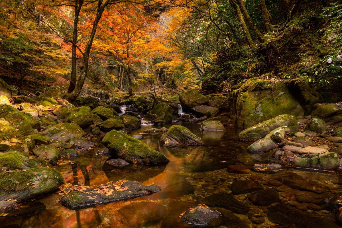 【国内旅行】三重にこんな素敵スポットが!!紅葉・赤目四十八滝に行ってみた【Go To, 旅写真】