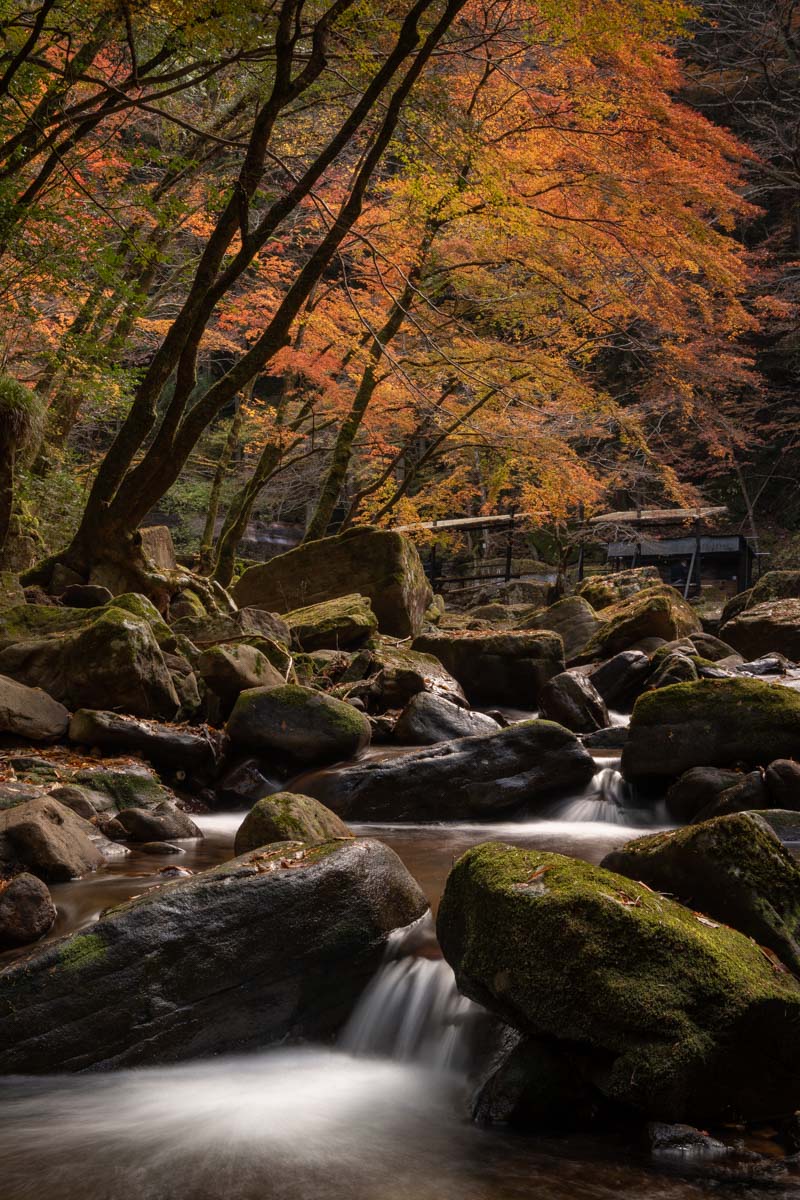 【国内旅行】三重にこんな素敵スポットが!!紅葉・赤目四十八滝に行ってみた【Go To, 旅写真】