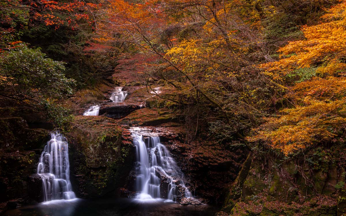 【国内旅行】三重にこんな素敵スポットが!!紅葉・赤目四十八滝に行ってみた【Go To, 旅写真】