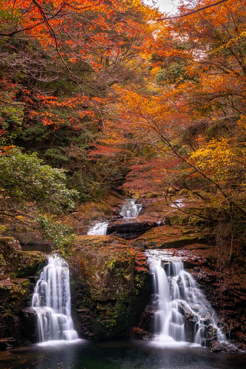 【国内旅行】三重にこんな素敵スポットが!!紅葉・赤目四十八滝に行ってみた【Go To, 旅写真】