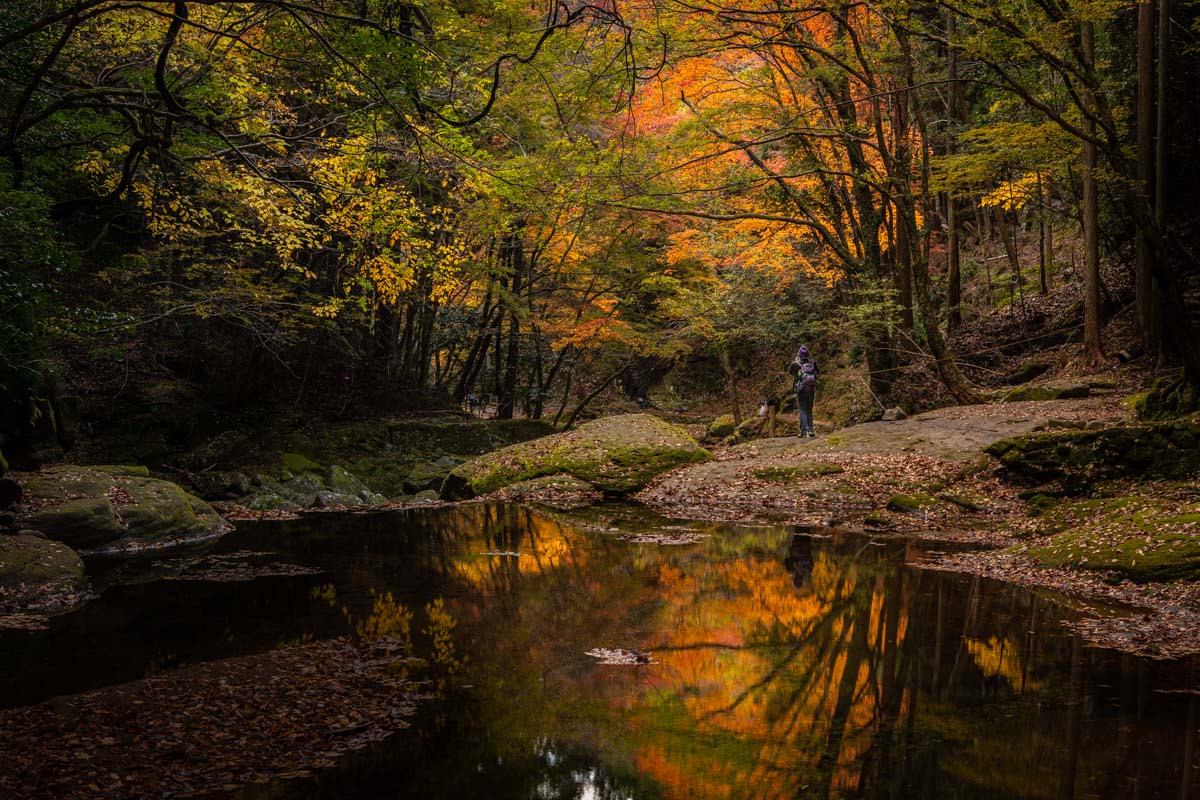 【国内旅行】三重にこんな素敵スポットが!!紅葉・赤目四十八滝に行ってみた【Go To, 旅写真】