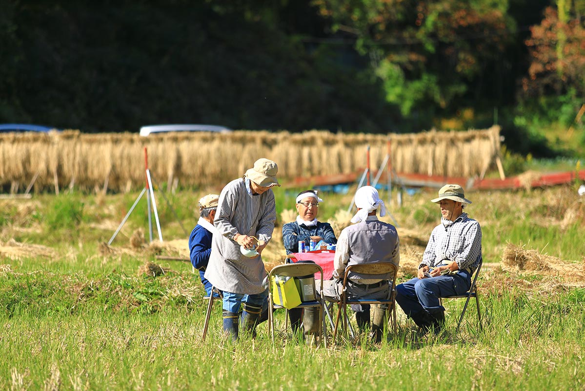 【地球の裏側からも参加!!】11/22 オンラインいくまもんカメラ勉強会#3　レポート