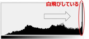 【これが参加者の生の声!!】11/22 オンラインいくまもんカメラ勉強会#3　質問&感想 大公開!!