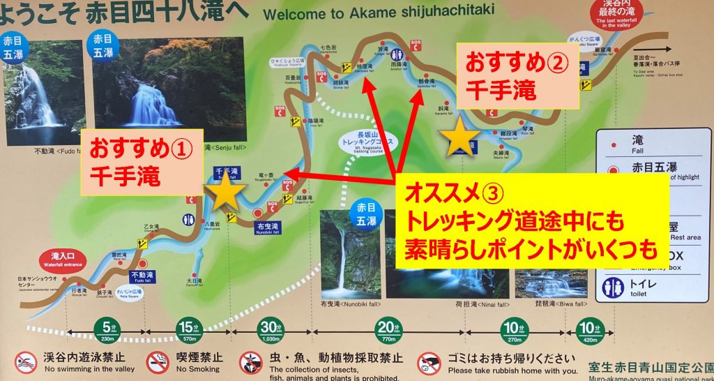 【国内旅行】三重にこんな素敵スポットが!!紅葉・赤目四十八滝に行ってみた【Go To, 旅写真】